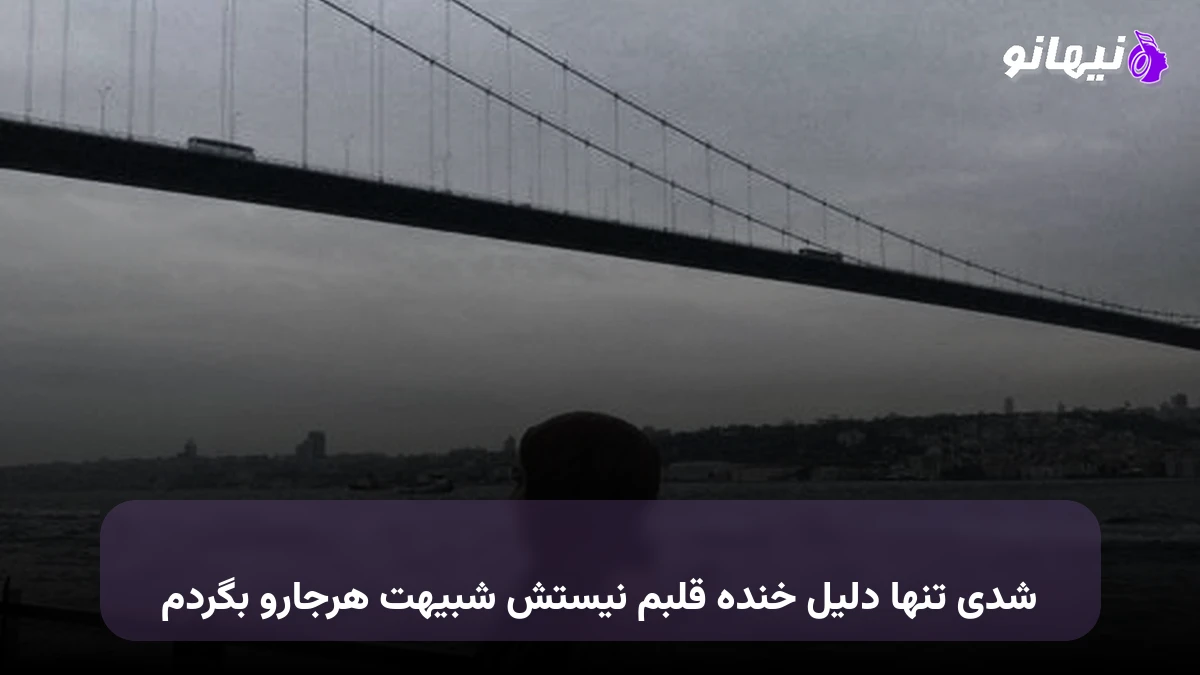دانلود آهنگ شدی تنها دلیل خنده قلبم نیستش شبیهت هرجارو بگردم 